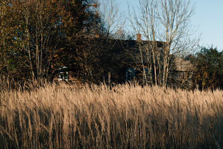 autumn sunset in the village. High quality photoの写真素材