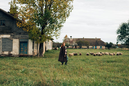 Girl in a coat with sheep. High quality photoの写真素材