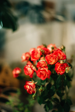 a bouquet of small roses. High quality photoの写真素材