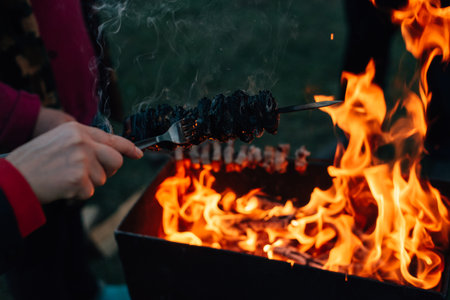 shashlik on an open fire on a grill. High quality photoの写真素材
