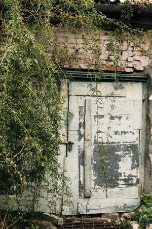 shabby door of an old garageの写真素材