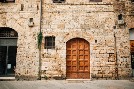wooden textured relief antique doors. High quality photoの写真素材
