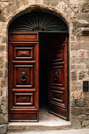 wooden textured relief antique doors. High quality photoの写真素材