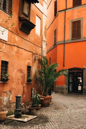 A courtyard in Italy with a drinking fountain and a palm tree. High quality photoの写真素材