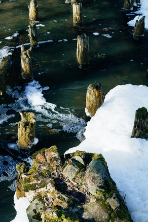 trunks of old trees in the river near the waterfallの写真素材