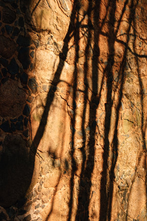 Textured rocky shadow on the wall. High quality photoの写真素材