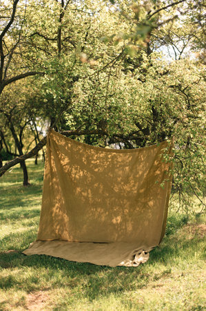 Linen backdrop for a photo shoot in the garden. High quality photoの写真素材