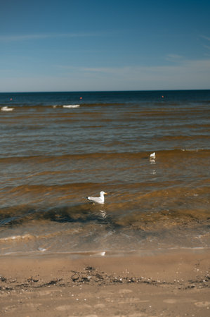 Sea in Latvia, Jurmala, in springの写真素材