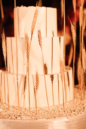 Wedding cakeの写真素材