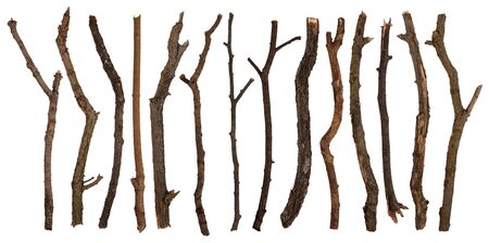 Sticks isolated on white 