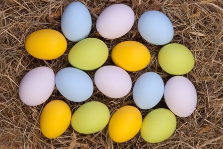 Easter eggs on hay 