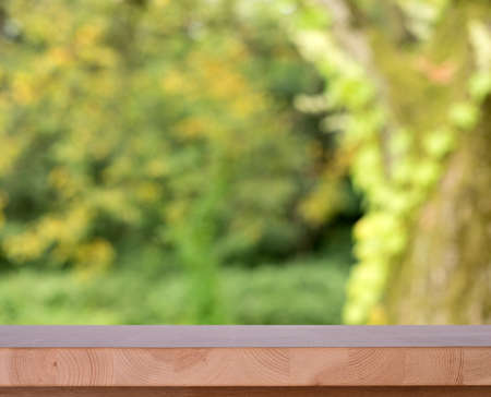 Table in gardenの写真素材