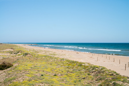 Natural beach espai river Llobregatの写真素材