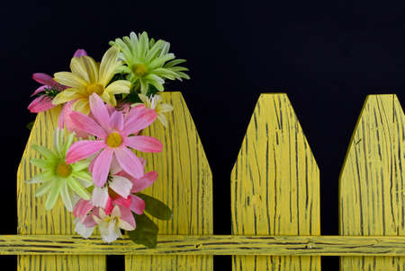 Easter flowers on decorative yellow fence on black backgroundの写真素材