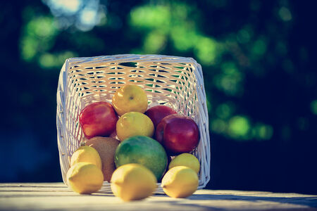 Fruits in the sun,vintageの写真素材