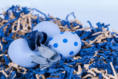 Easter concept,eggs in a nest blue arrangement.の写真素材