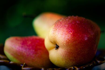 Three organic ripe pears.の写真素材