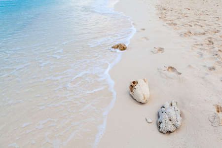 Coral rocks and calm waves on Caribbean beach, Grand Caymanの写真素材