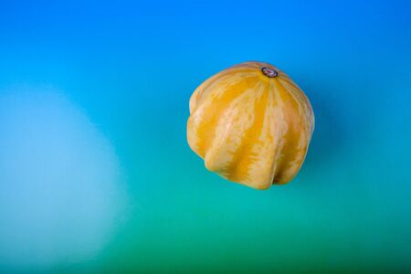 Ornamental squash on a colorful background, view from above. Holiday decorative vegetables.の写真素材