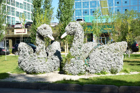 Arrayのeditorial素材