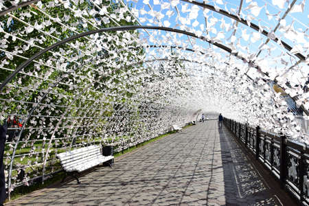 Arrayのeditorial素材