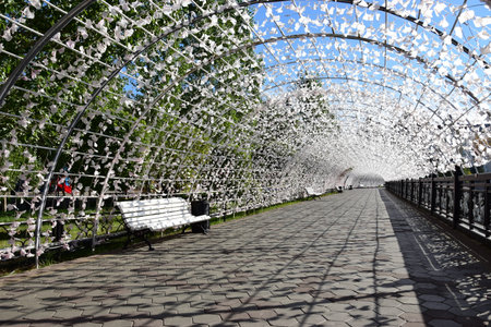 Arrayのeditorial素材