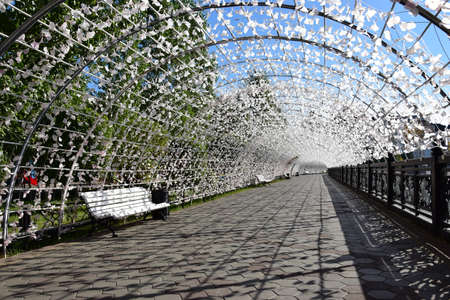 Arrayのeditorial素材