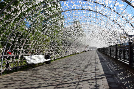 Arrayのeditorial素材