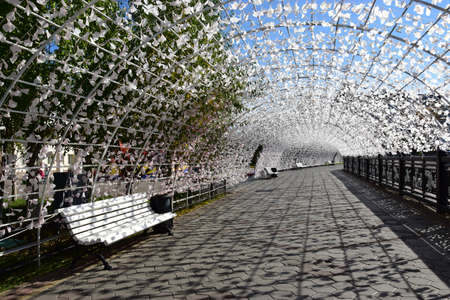 Arrayのeditorial素材