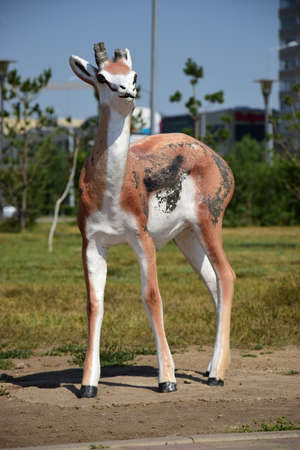 Arrayのeditorial素材