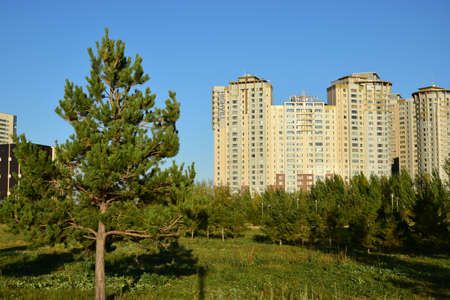 Arrayのeditorial素材