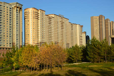 Arrayのeditorial素材