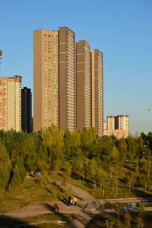 Arrayのeditorial素材