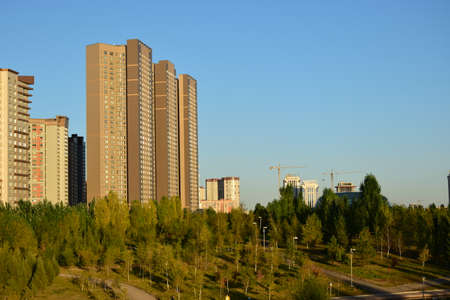 Arrayのeditorial素材