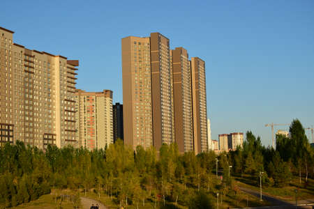 Arrayのeditorial素材