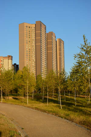 Arrayのeditorial素材