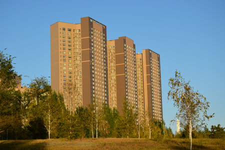 Arrayのeditorial素材