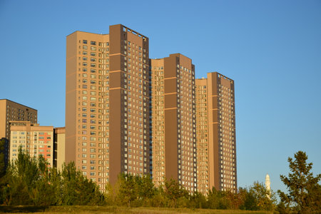 Arrayのeditorial素材