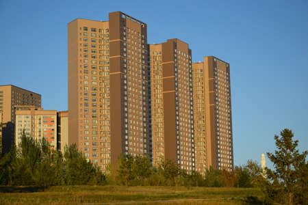 Arrayのeditorial素材