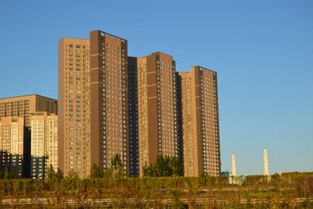 Arrayのeditorial素材