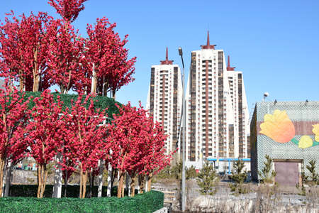 Arrayのeditorial素材