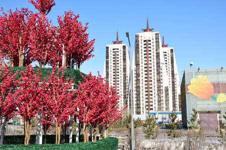 Arrayのeditorial素材