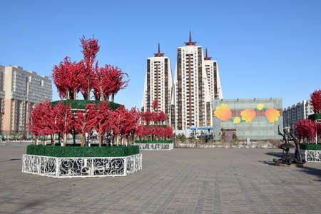 Arrayのeditorial素材