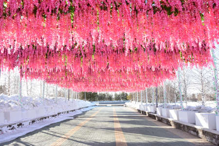 Arrayのeditorial素材