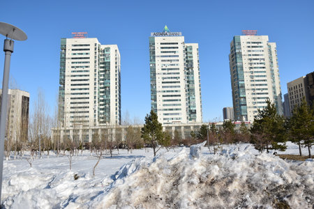 Arrayのeditorial素材