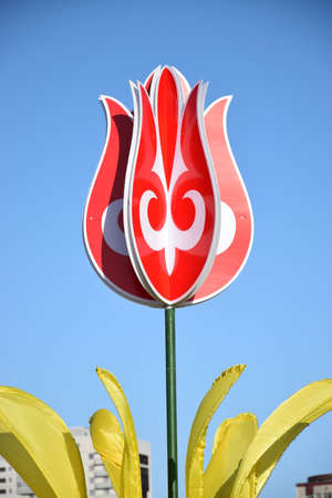 Arrayのeditorial素材