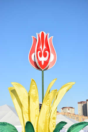 Arrayのeditorial素材