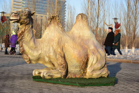 Arrayのeditorial素材