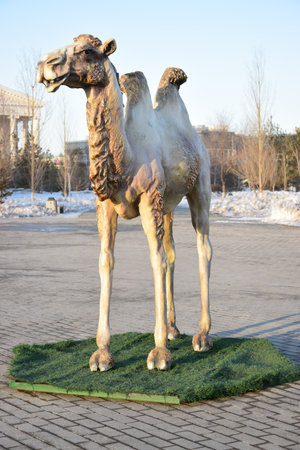 Arrayのeditorial素材