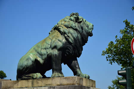 Arrayのeditorial素材